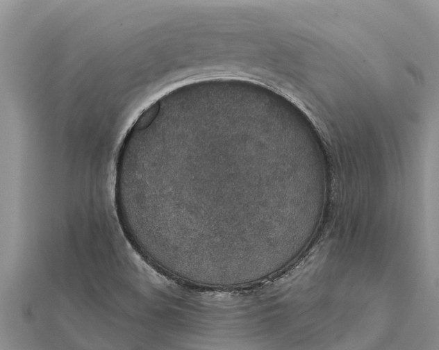 X0000112001508200908241422