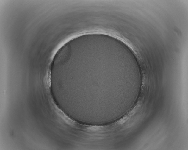 X0000112001510200908241422