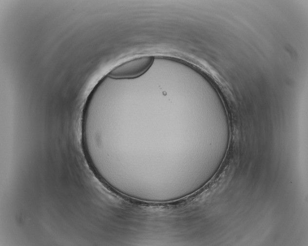 X0000112001512200908241422