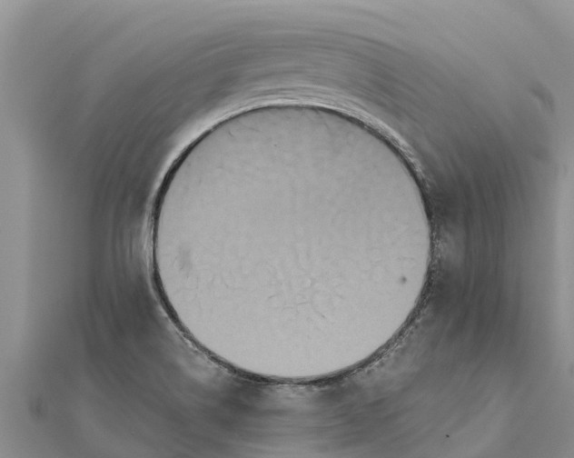 X0000112001514200908241422