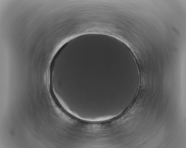 X0000112001515200908241422