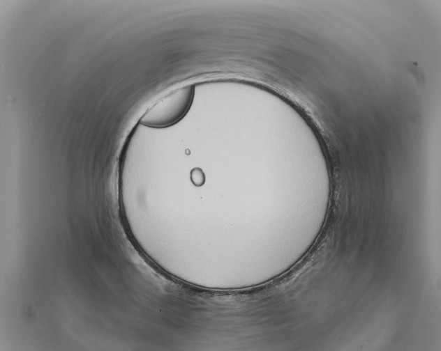 X0000112001516200908241422