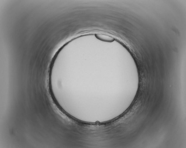 X0000112001518200908241422