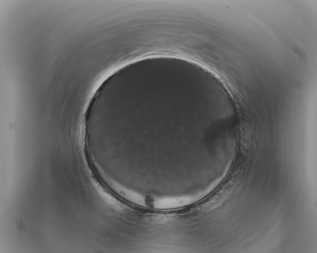 X0000112001519200908241422