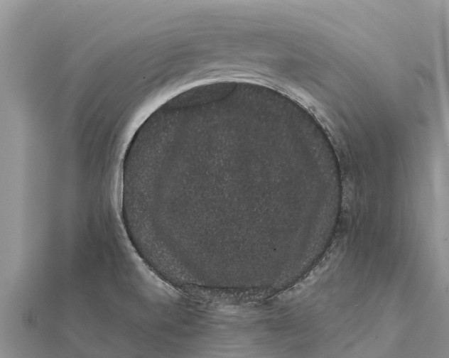 X0000112001520200908241422