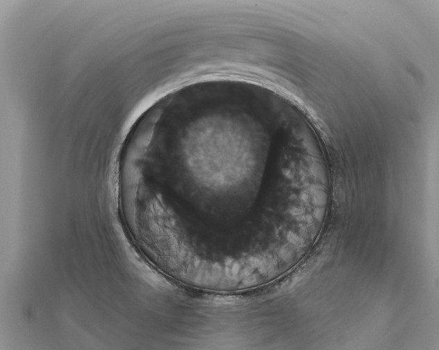 X0000112001522200908241422