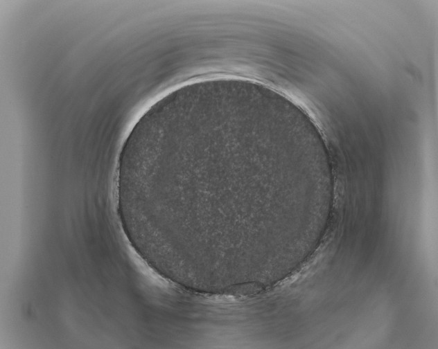 X0000112001524200908241422