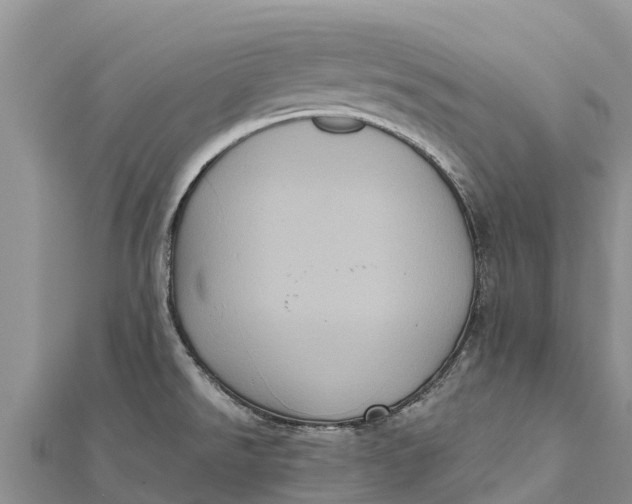 X0000112001526200908241422