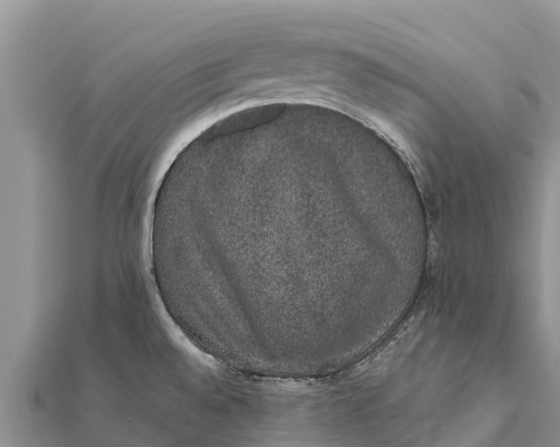 X0000112001528200908241422