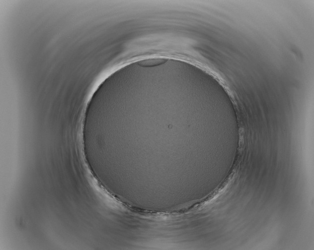 X0000112001530200908241422