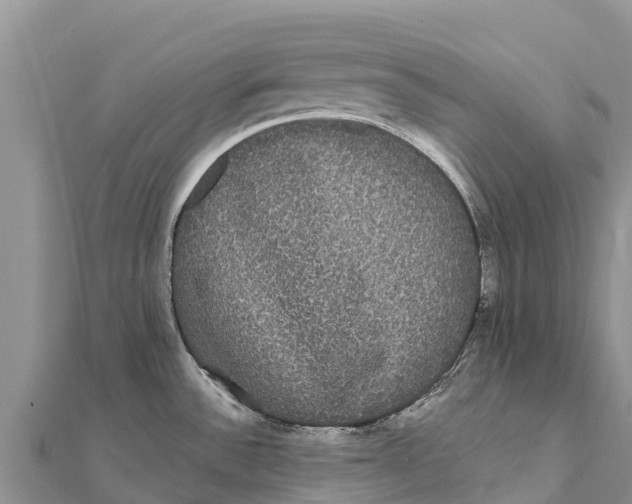 X0000112001532200908241422