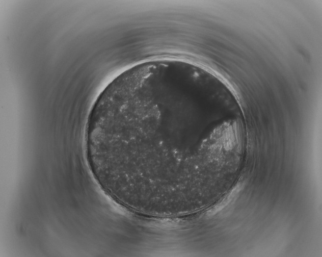 X0000112001533200908241422