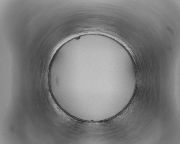 X0000112001534200908241422