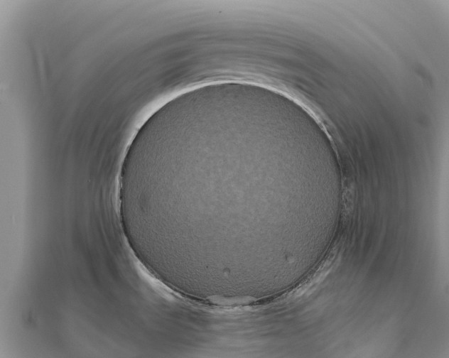 X0000112001535200908241422