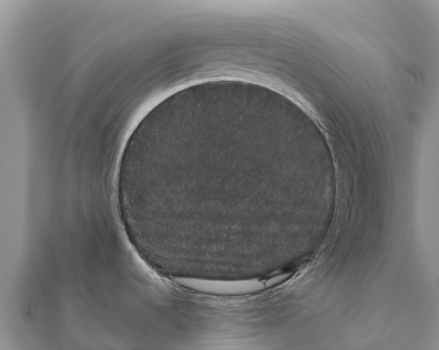 X0000112001536200908241422