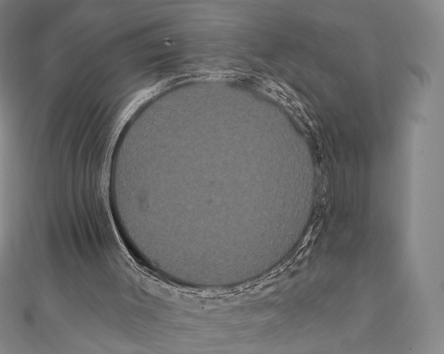 X0000112000003200908311123