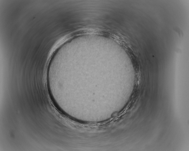 X0000112000004200908311123