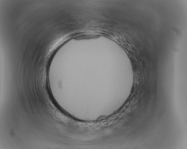 X0000112000005200908311123