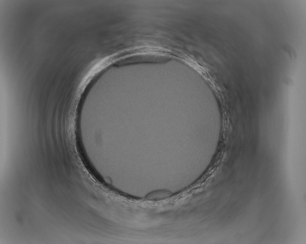 X0000112000007200908311123