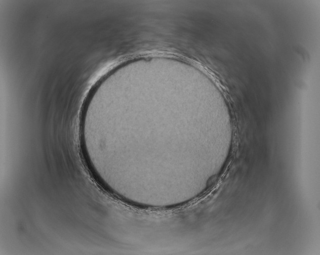 X0000112000008200908311123