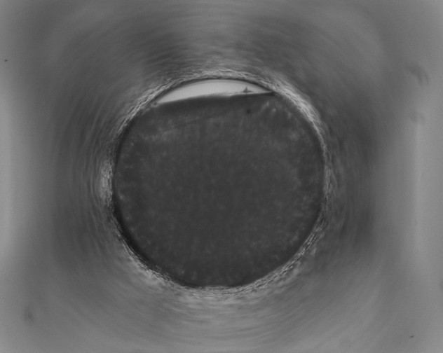 X0000112000009200908311123