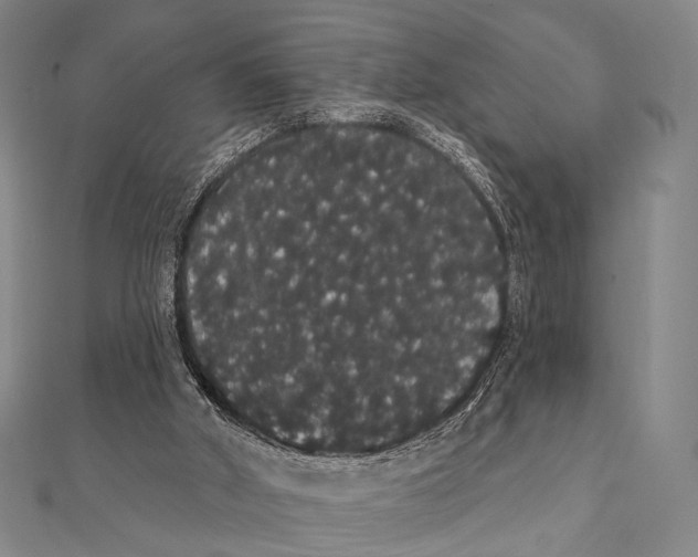 X0000112000010200908311123