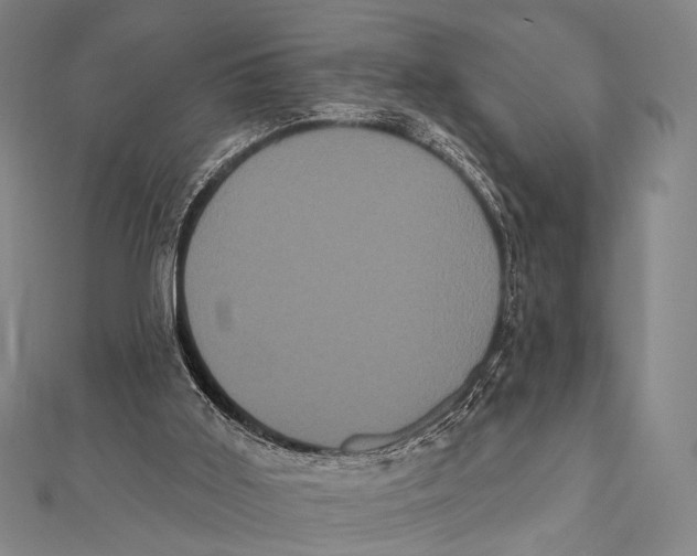 X0000112000011200908311123