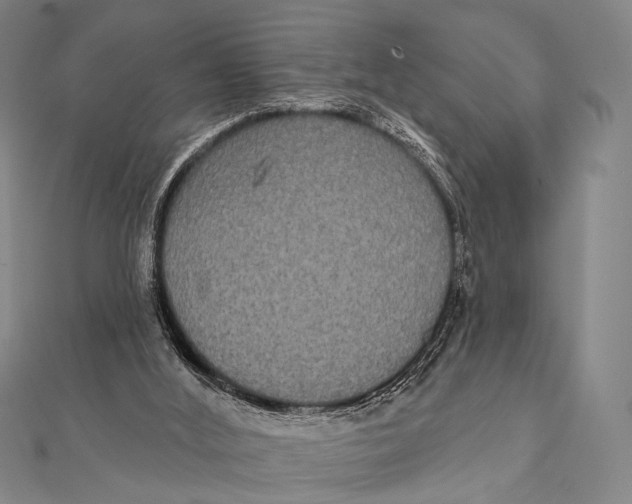 X0000112000012200908311123