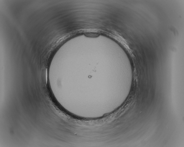 X0000112000013200908311123