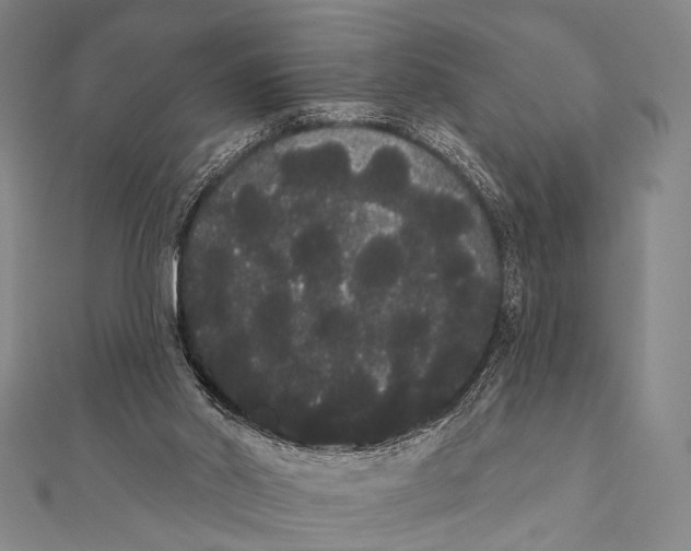 X0000112000014200908311123