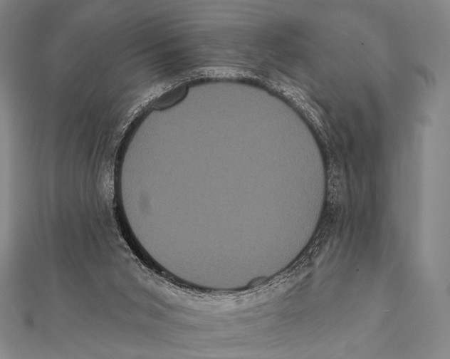 X0000112000015200908311123