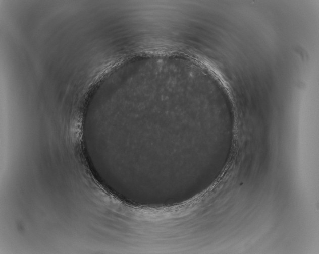 X0000112000017200908311123