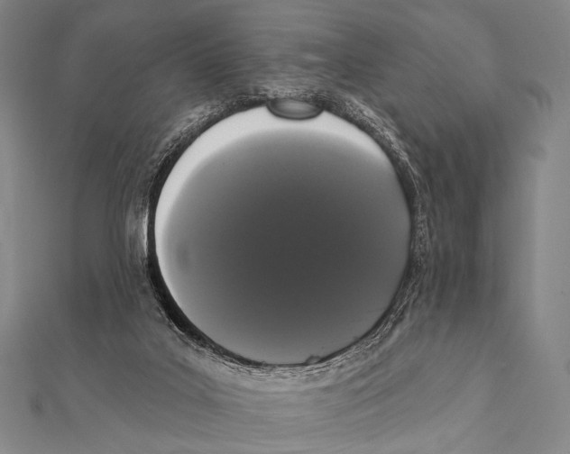 X0000112000019200908311123