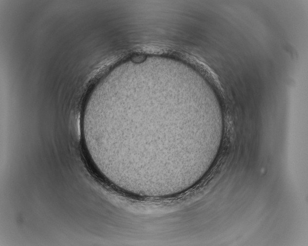 X0000112000020200908311123