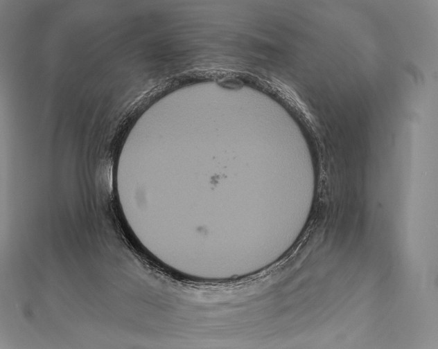 X0000112000021200908311123