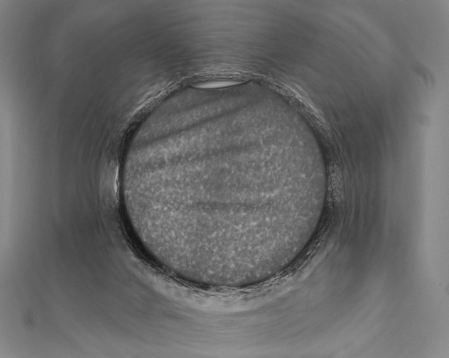 X0000112000024200908311123