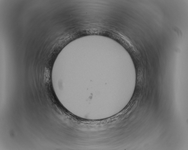 X0000112000025200908311123