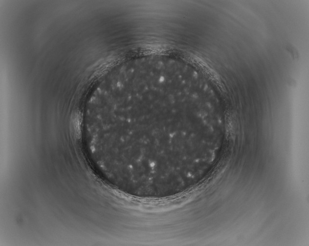 X0000112000026200908311123