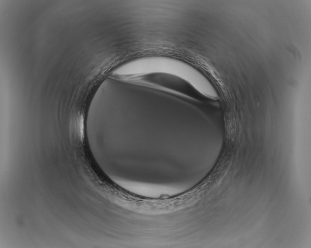 X0000112000027200908311123