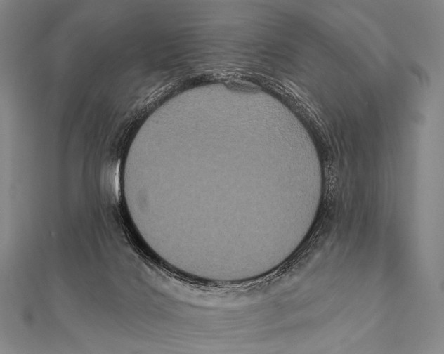 X0000112000028200908311123