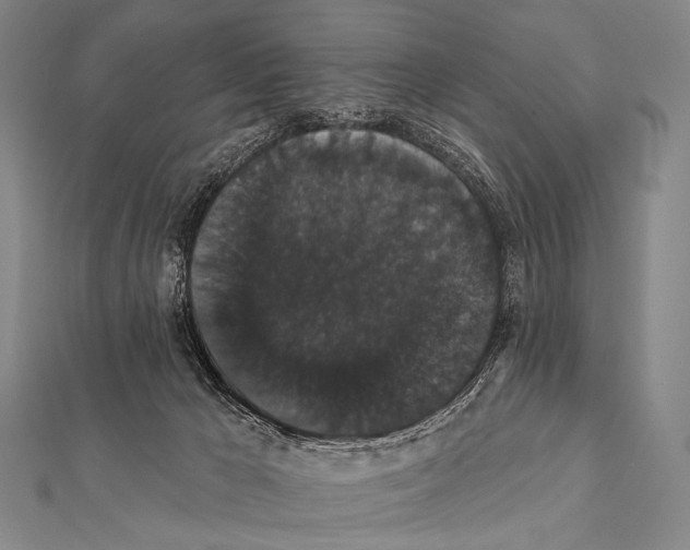 X0000112000029200908311123