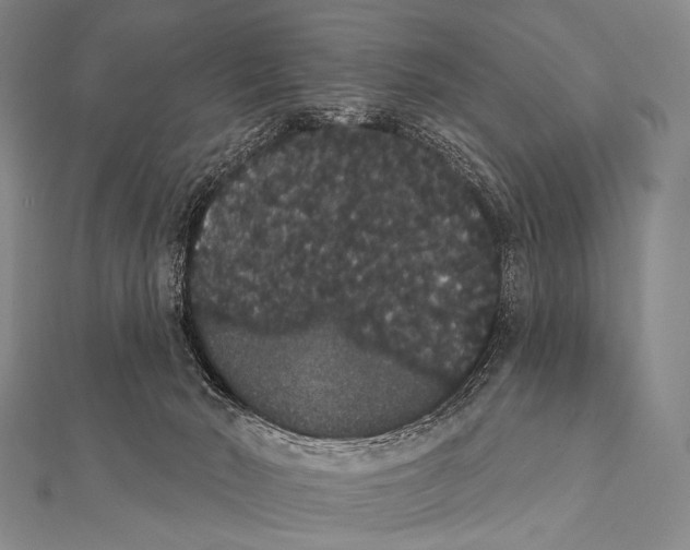 X0000112000030200908311123