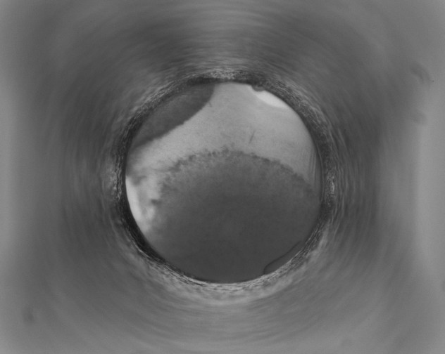 X0000112000031200908311123