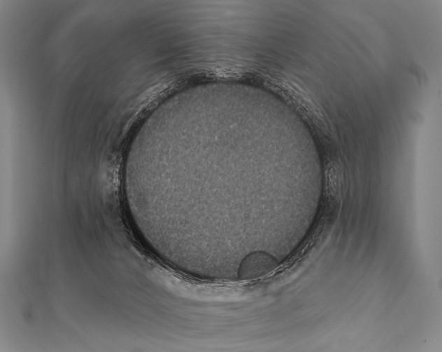 X0000112000032200908311123