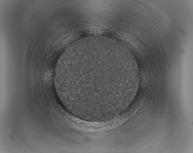 X0000112000034200908311123