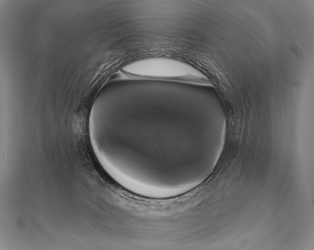 X0000112000035200908311123