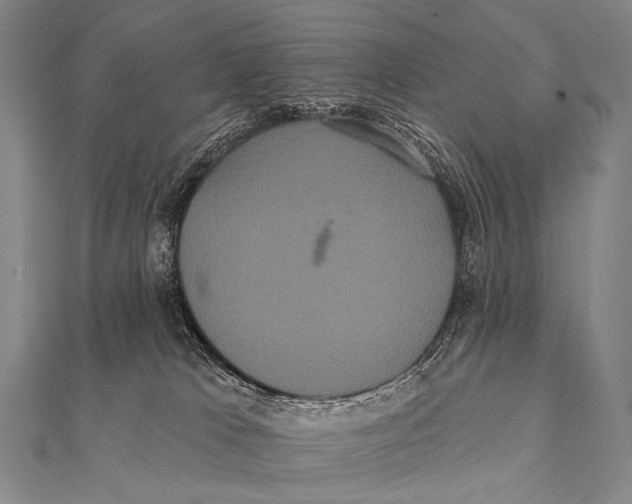 X0000112000037200908311123