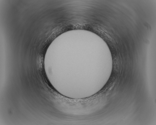 X0000112000038200908311123