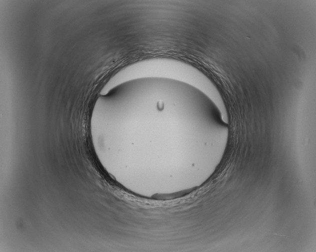 X0000112000039200908311123