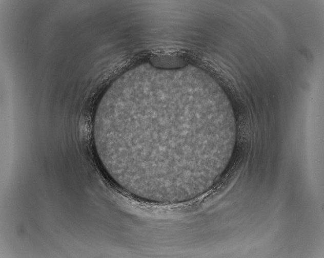 X0000112000040200908311123